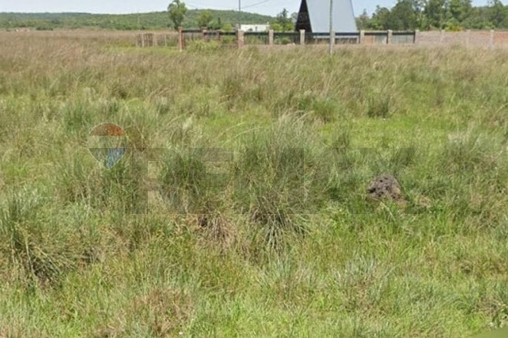 Terreno residencial en nueva colombia, foto 5