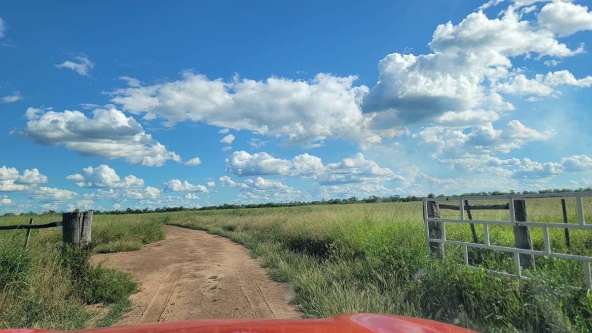 - Estancia Palo Santo 801 ha llave en mano - Irala Fernández, Pdte. Hayes, foto 2