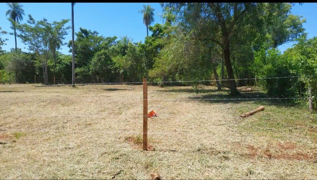 Terreno, foto 2