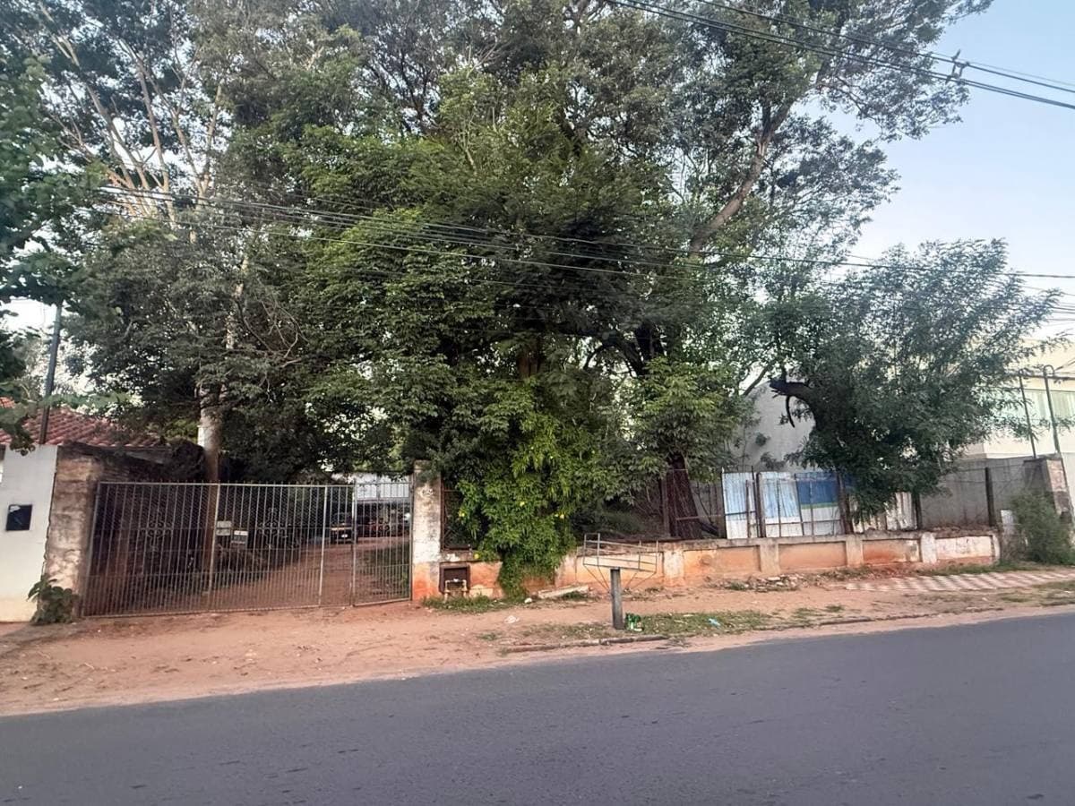 Amplia propiedad en barrio los laureles, foto 3