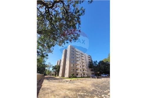 Departamento en Luque, foto 3