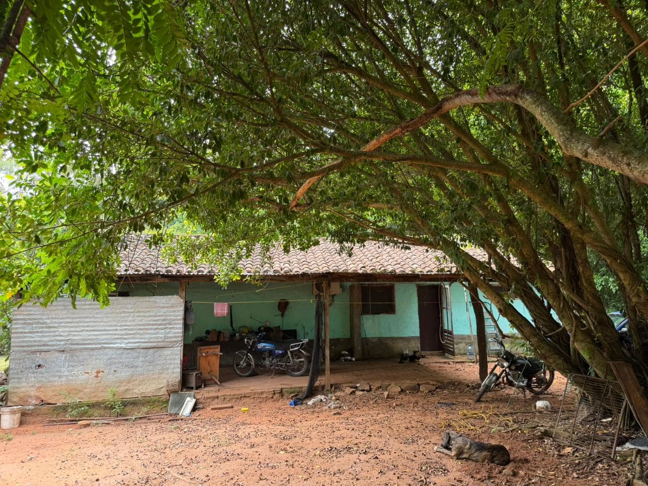 Granja De 15 Ha En Nueva Italia: Refugio Natural Con Arboles Frutales Y Nativos — foto 4