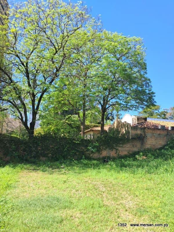 Terreno En Esquina S/ Molas López Z/ Lomas Padel (CóD. 1352), foto 3