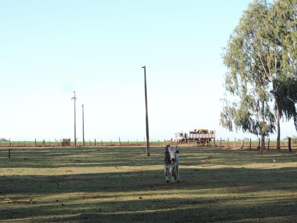 Granja en el centro de Santa Rita en super oferta, foto 4