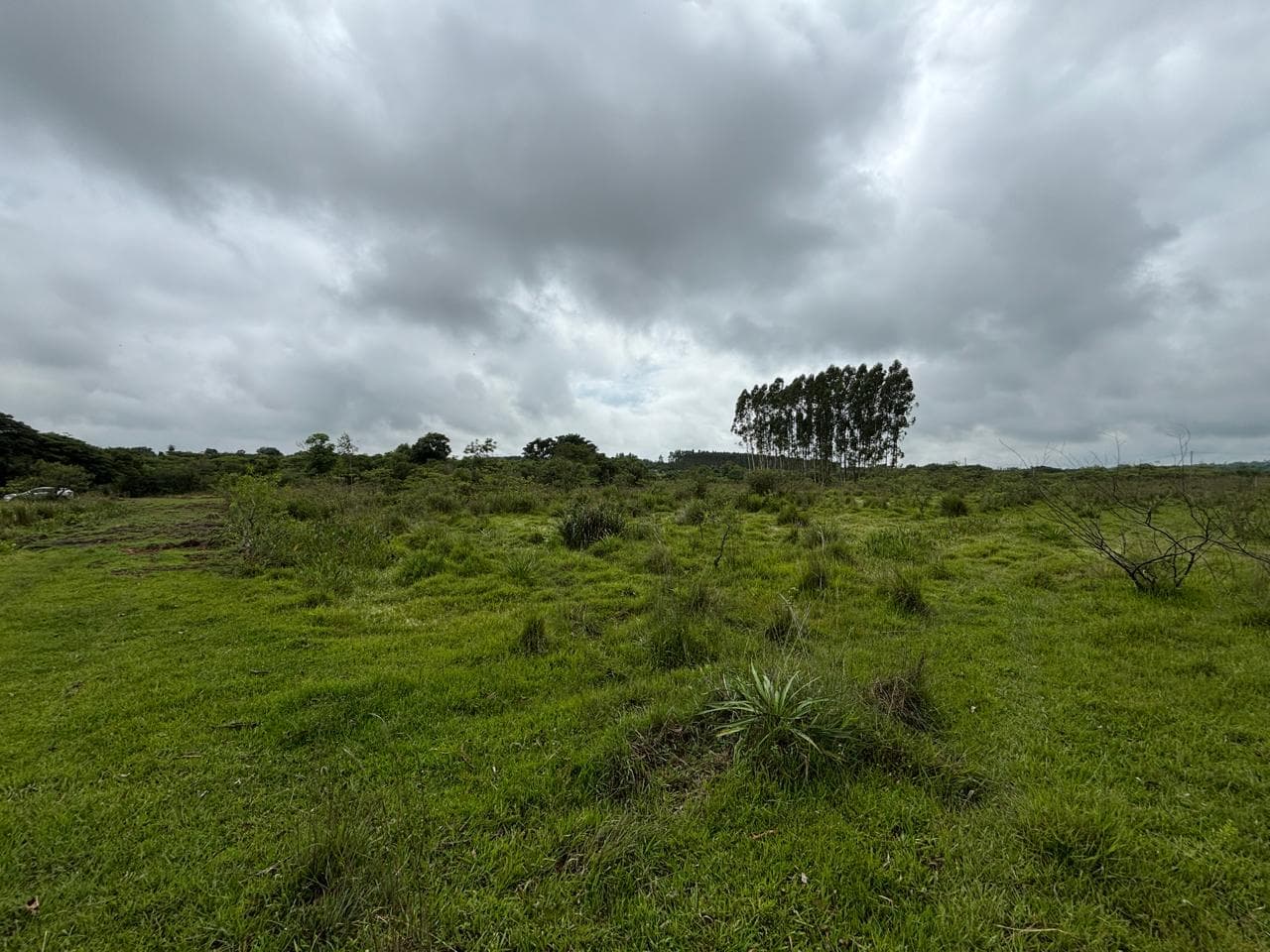Terreno en itacurubi de la cordillera, foto 2
