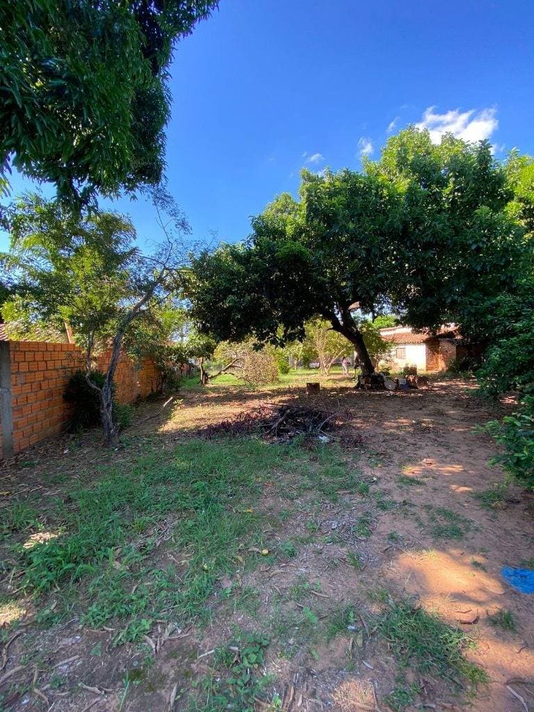 Terreno en venta - zeballos cue, asuncion, foto 3