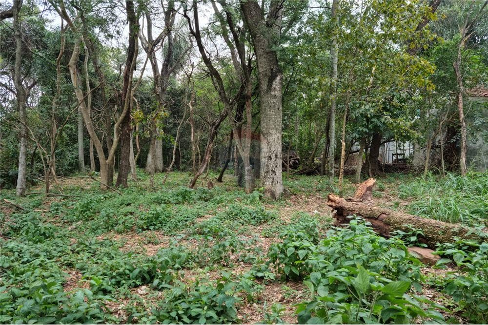 de Gran Terreno en Urbanización Surubi'i, foto 5