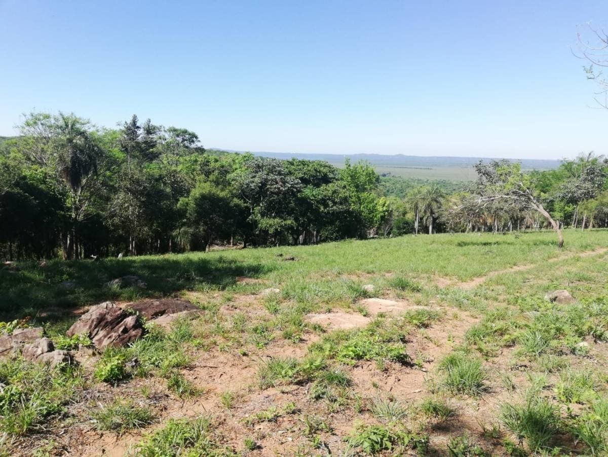 Terrenos con hermosas vistas en sanber camino a nueva colombia — foto 5