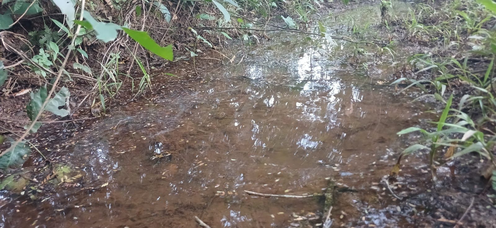 Propiedad de 35ha en cordillera- tobati, foto 2