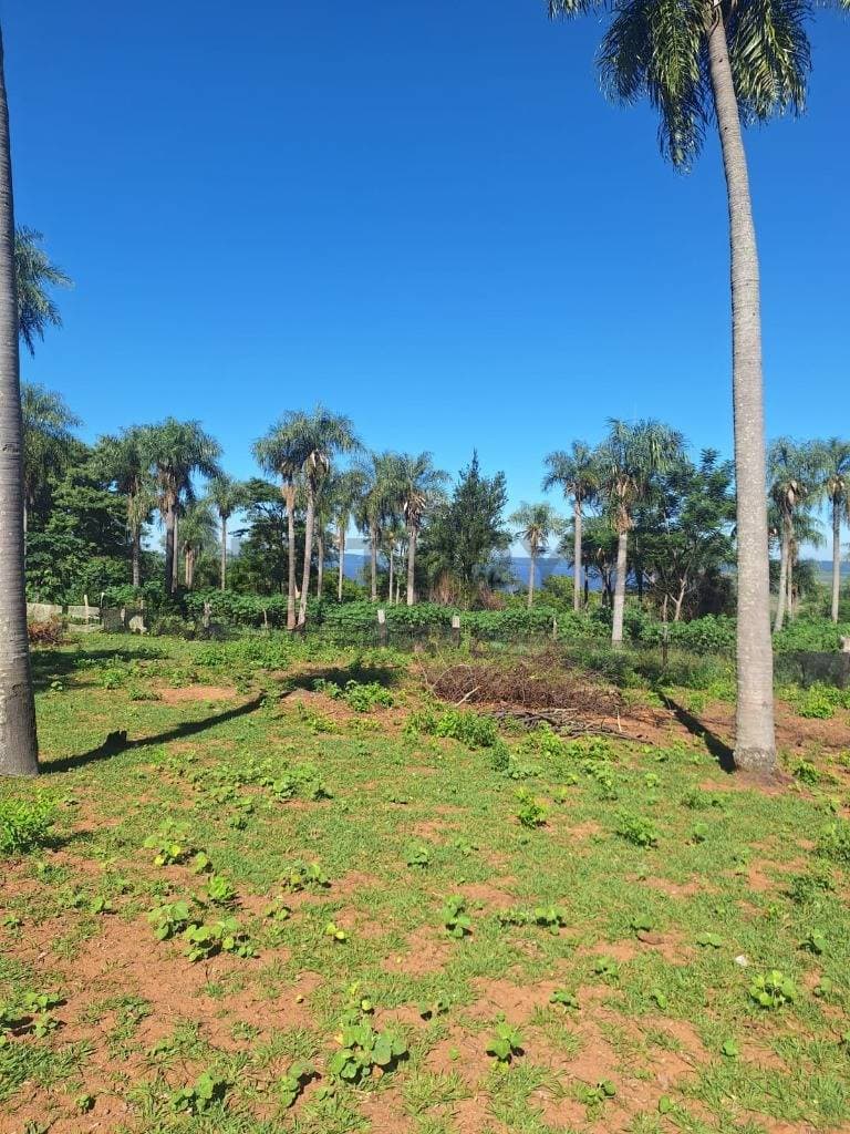 terreno con vista al Lago en San Bernardino, foto 3