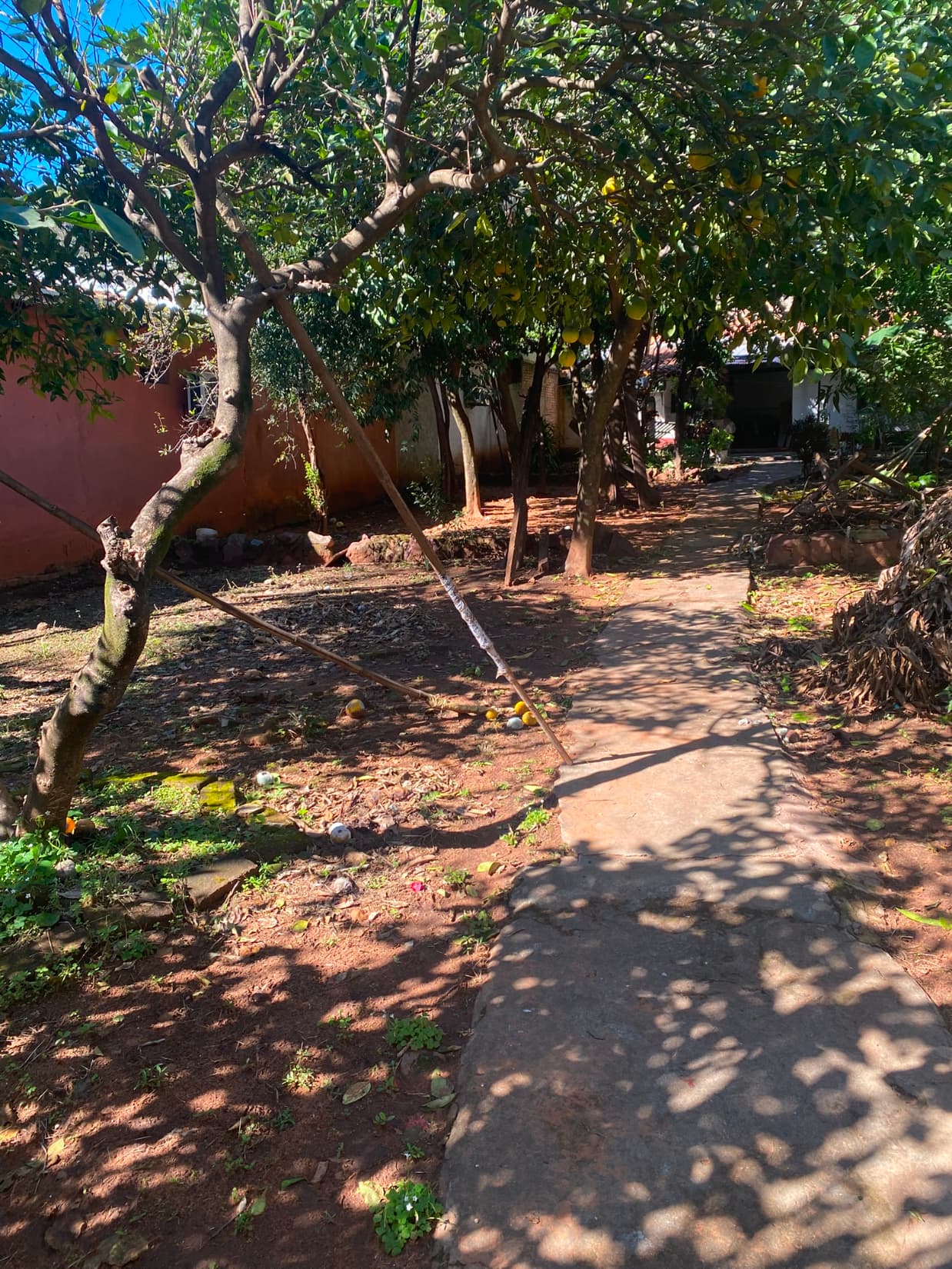 Asunción: amplio terreno arbolado de 15,27 m. X 37,50m — foto 3