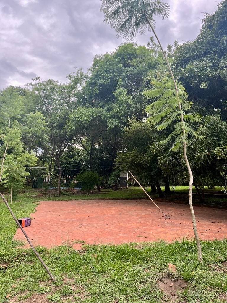 Hectáreas En Capiata, foto 5