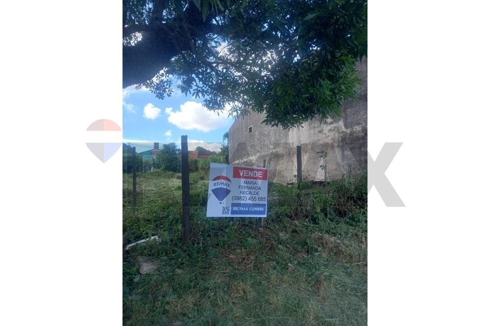 Terreno - Venta - Lambaré — foto 5
