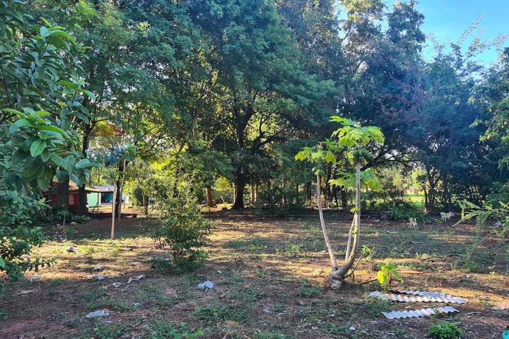 Casa - Venta - Piribebuy, Cordillera, Paraguay, foto 2