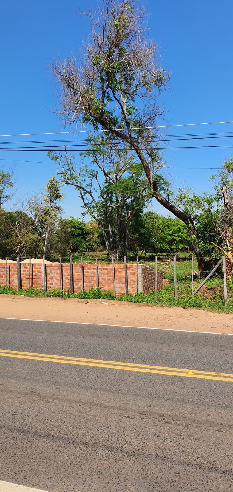 Terreno regular para desarrollo depositos o logistica comercial sobre avenida san jose limpio zona trasitada ruta Luque limpio — foto 2