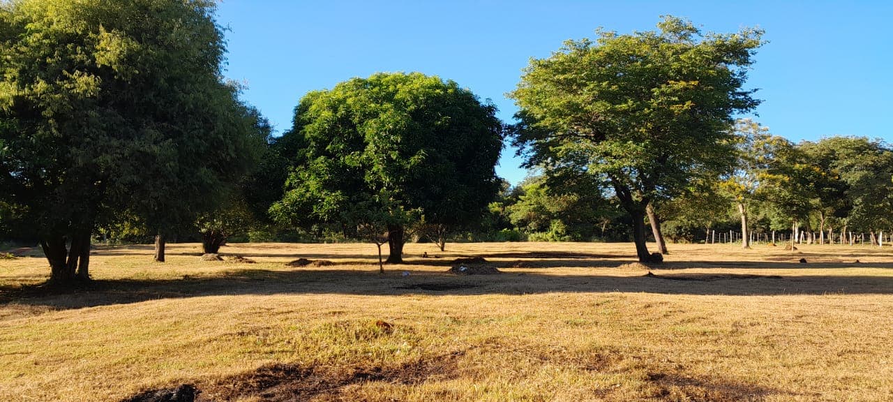 Amplio Terreno 3600 M2 Caacupe Especial Para Casa Quinta, foto 1