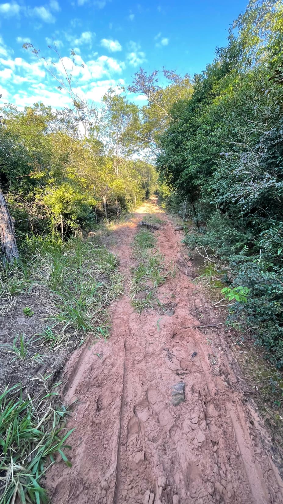 5 Hectáreas Con Casa En Eusebio Ayala A 2,5 Km De Ruta 2, foto 5