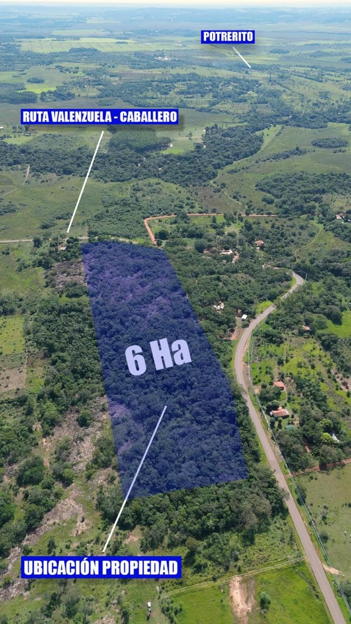 Ideal Inversiones de 6 hectáreas, Valenzuela, foto 4