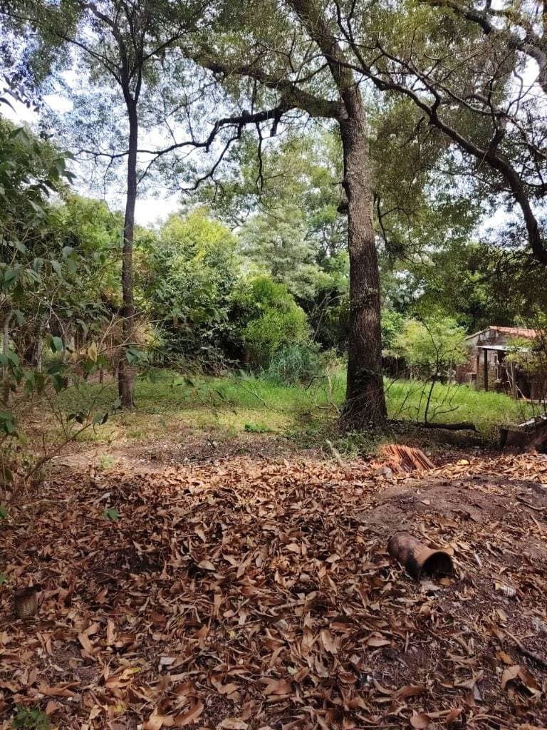 de Terreno en Areguá, Central, foto 4