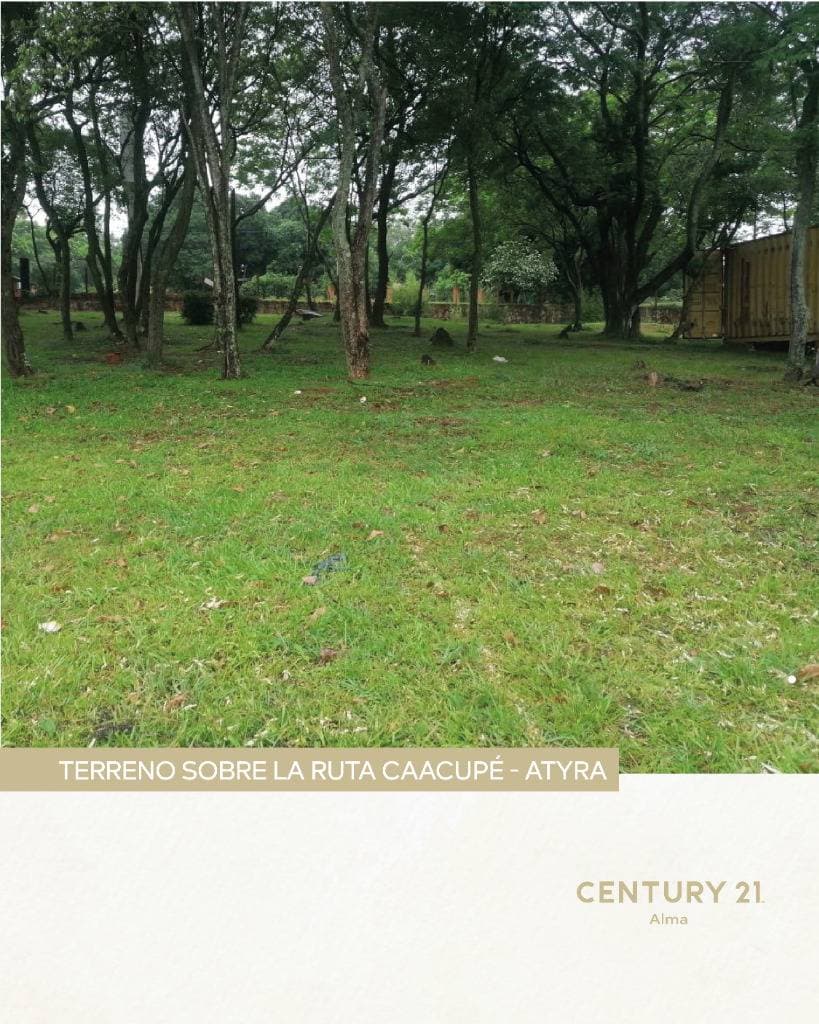 Terreno 3 ha caacupe terreno exclusivo sobre ruta caacupé – atyrá, foto 2