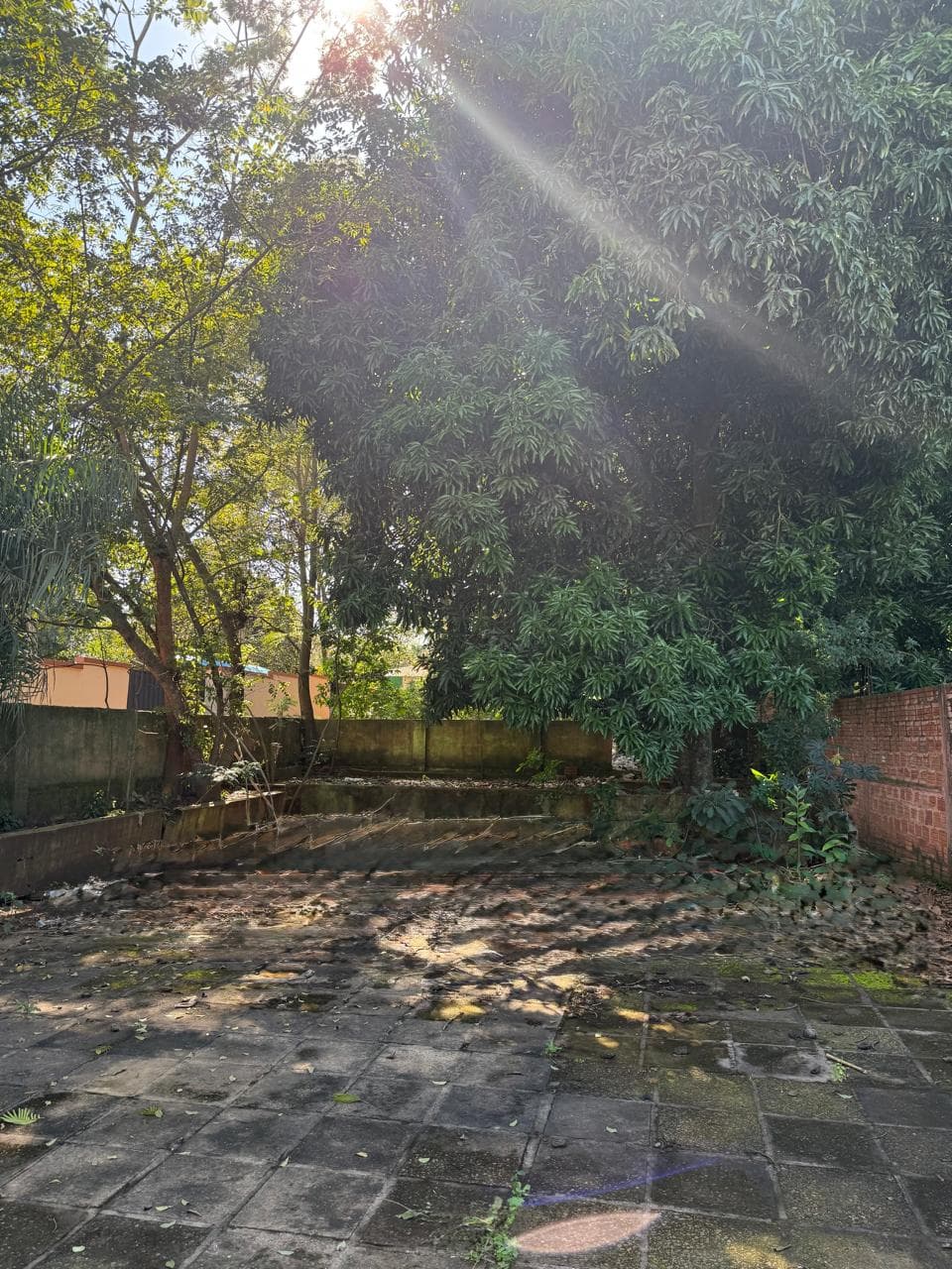 Terreno en paraguari de 907m2, frente mismo a la fruteria paraguari, foto 5