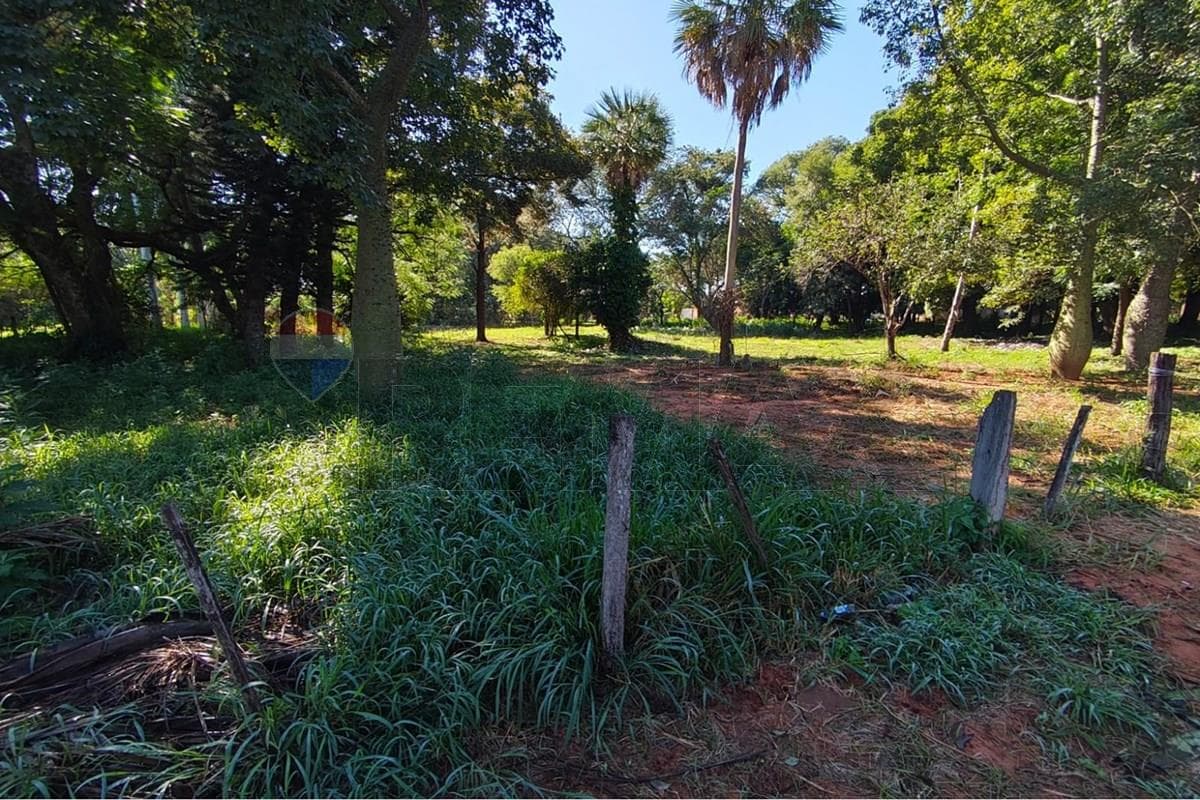 Terreno en capiata — foto 3
