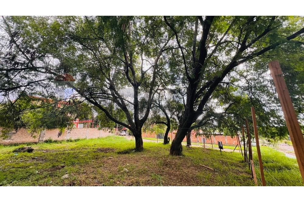 Terreno en Loma Pyta, Asunción Ideal para inversión o desarrollo, foto 2