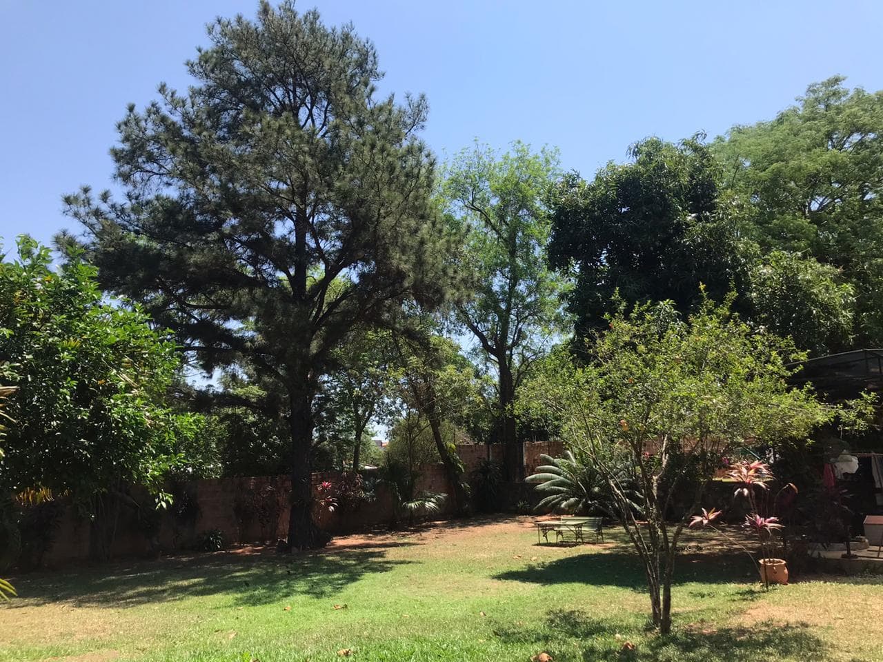 importante terreno en lombaré, foto 4