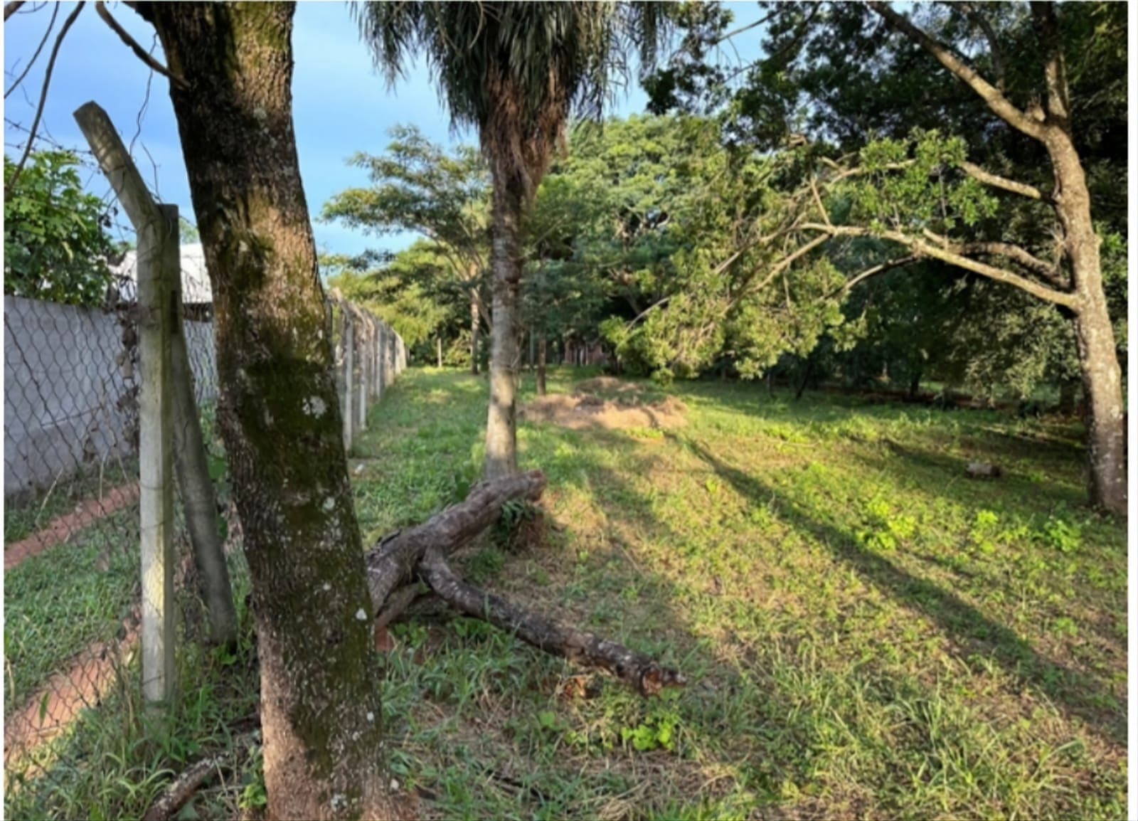 Amplio terreno en venta – Luque, barrio mora cue, foto 3