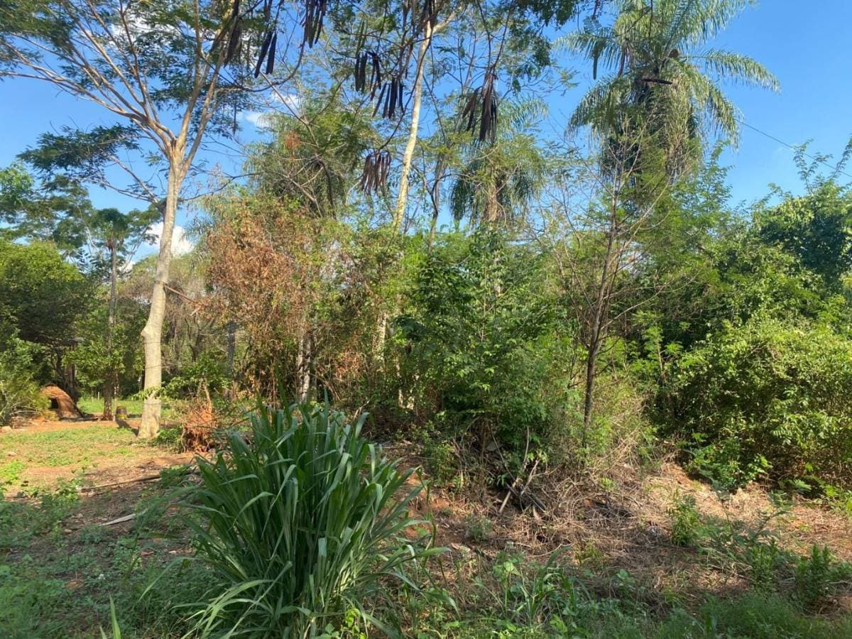 Terreno en Luque. Marin kaaguy, foto 5