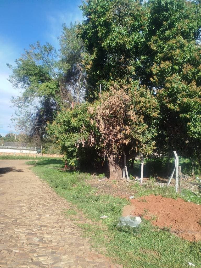 Terreno en Venta en San Lorenzo, foto 2