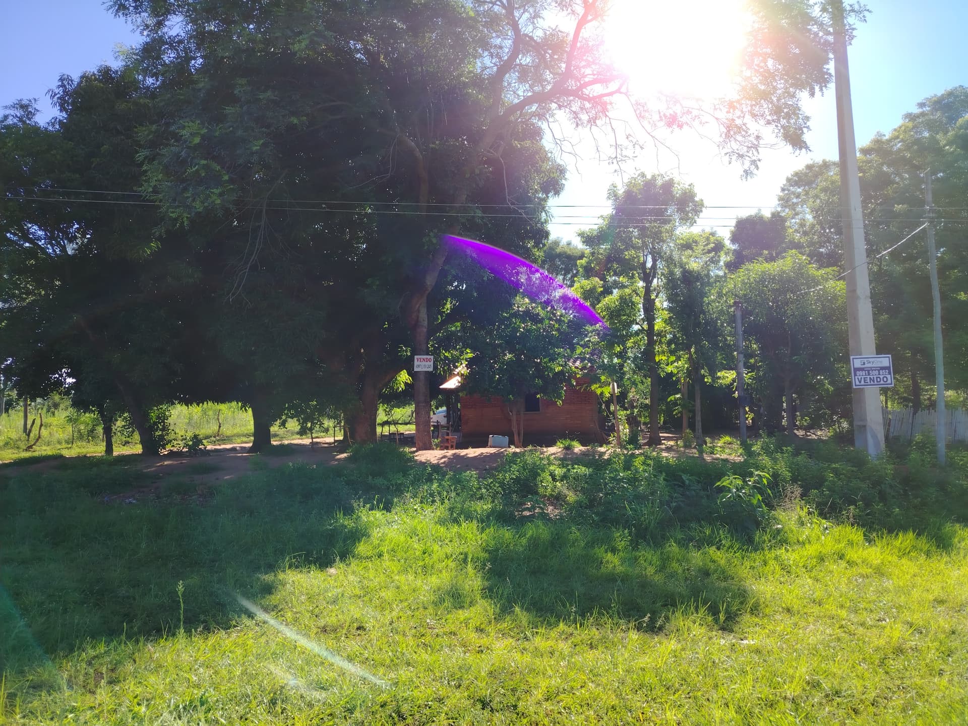 Terreno en paraguari, foto 5