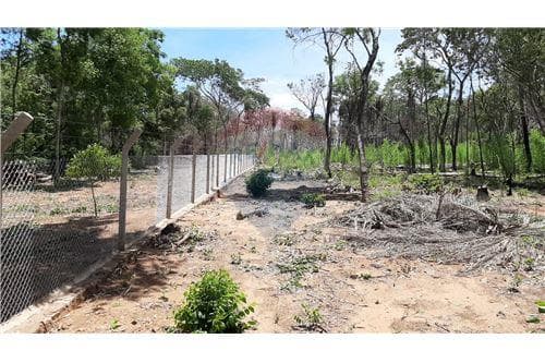 Terreno - Venta - Paraguay Cordillera San Bernardino, foto 5