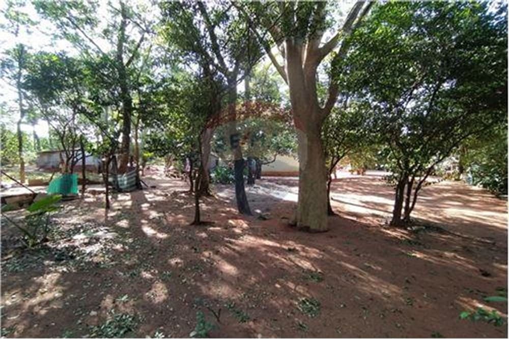 Terreno-Venta-Felix Perez Cardozo y Uruguay, San Lorenzo, Central
