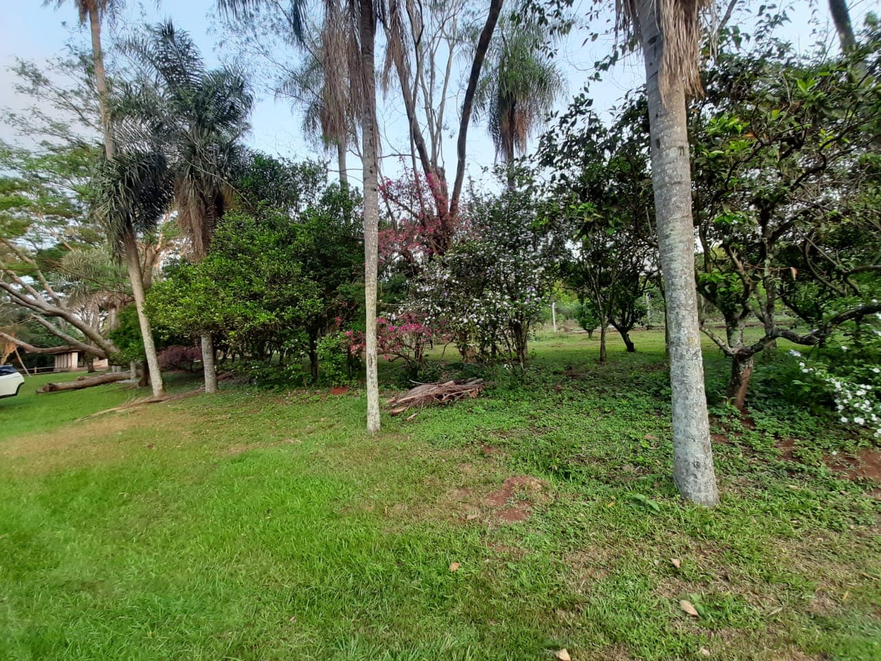 Disponible En Venta 8 Hectáreas En Caacupé Con Arroyo Y Piscina, foto 2