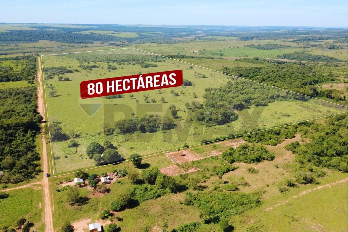 En Venta - Finca Agrícola -San Estanislao, San Pedro, Paraguay, foto 3