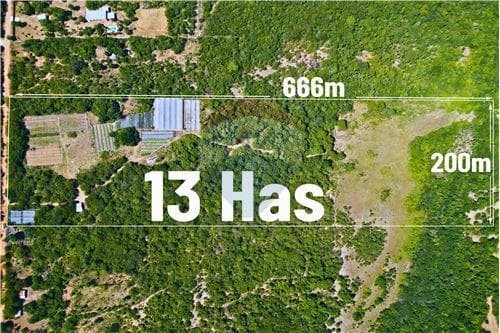 Finca Agrícola de 13 Hectáreas en Nueva Colombia - Alta Producción Hortícola