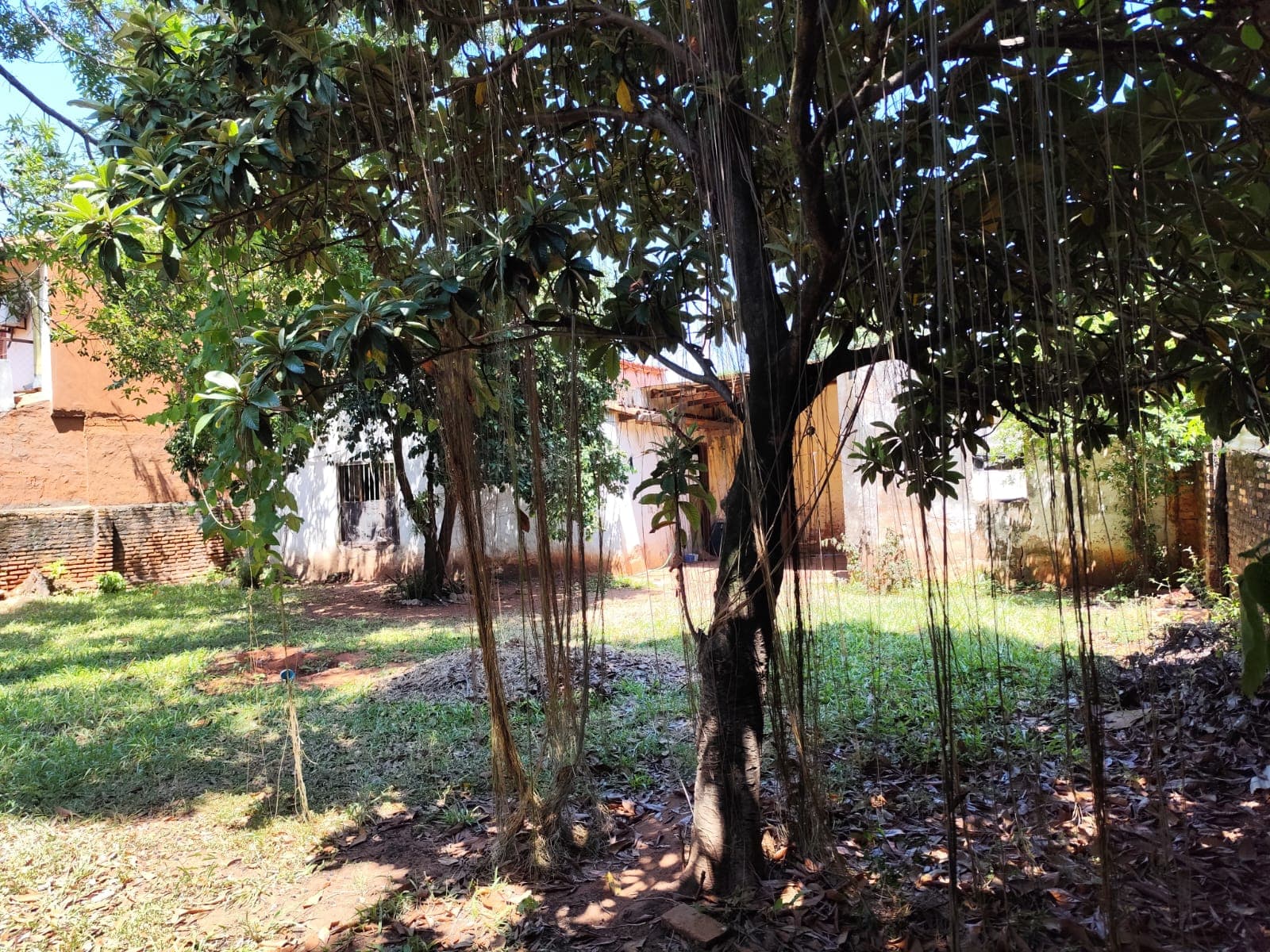 Terreno Cerca Del Centro De San Lorenzo 444m2, foto 3