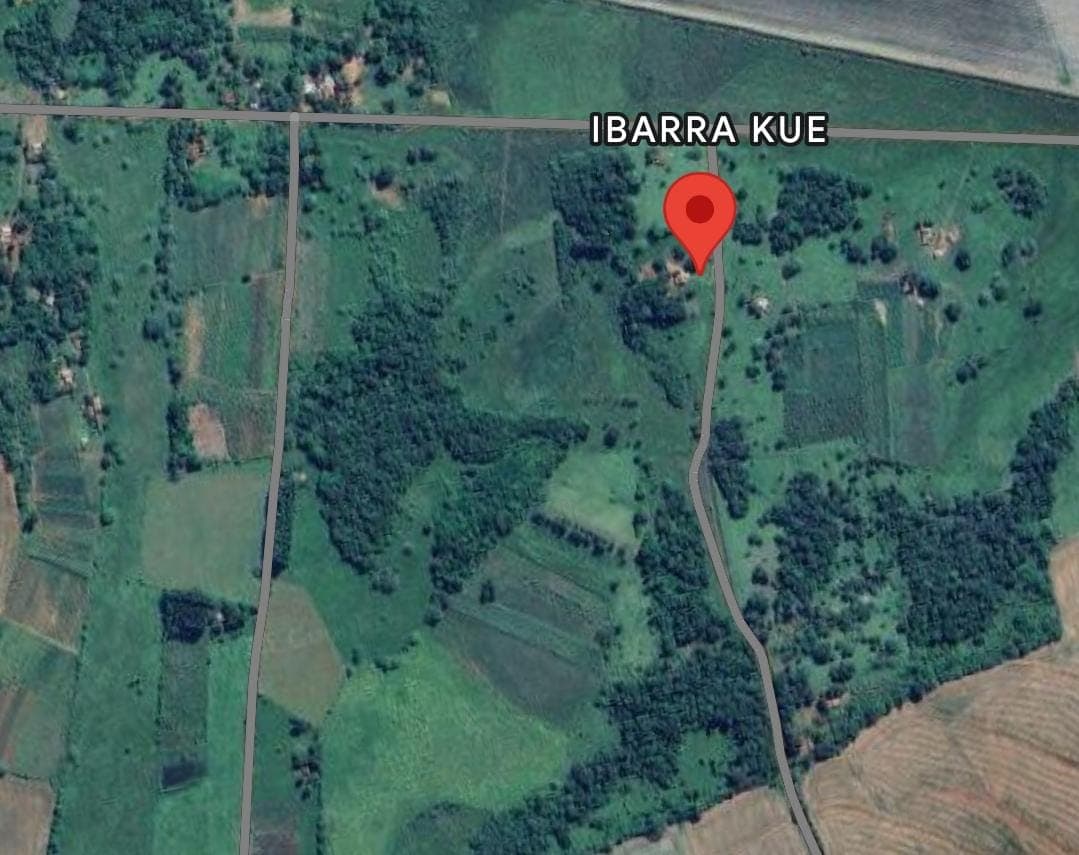 Campo Agricola 19,5 Ha - San Pedro Del Paraná, Itapua, foto 1