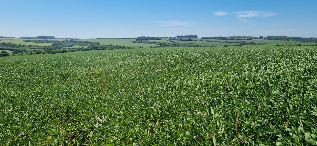 Propiedad agricola en capitan meza itapua, foto 2