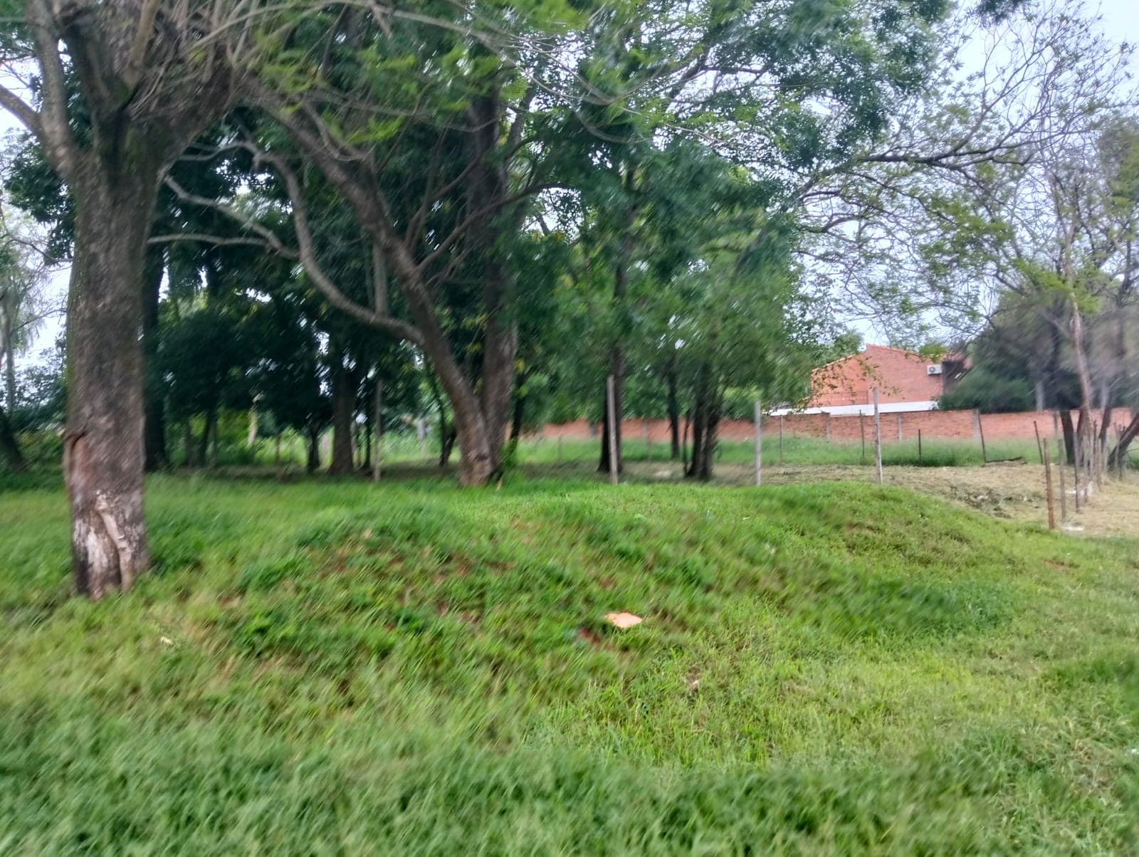 Terreno sobre asfalto en Ñemby!, foto 3