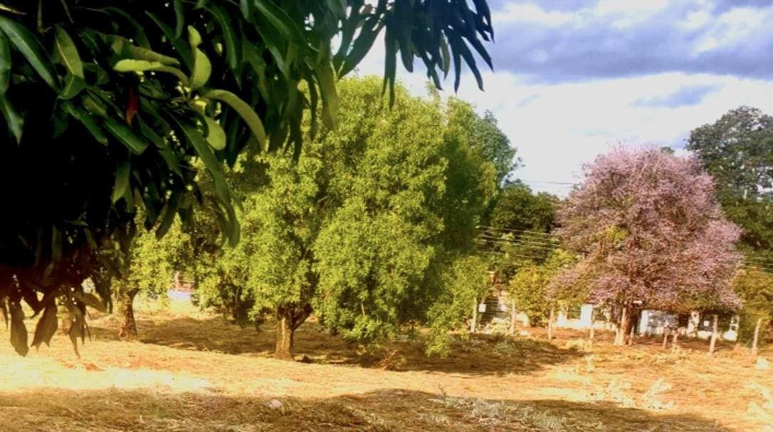 En venta terreno con 2834m2 en Mariano Roque Alonso — foto 3