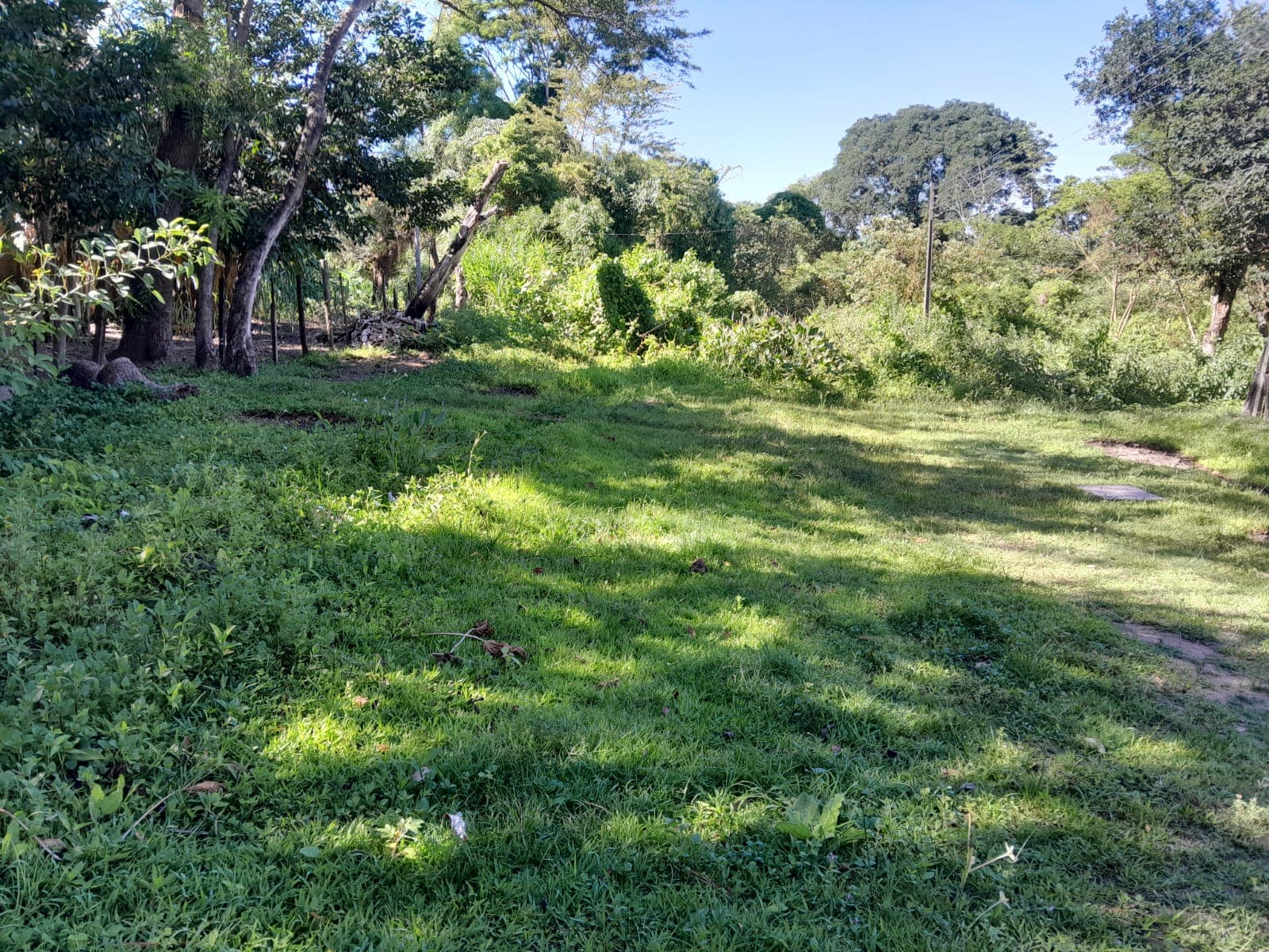 Oferta De Amplia Propiedad De 3.256 M2 - Capiatá -rojas Cañada, A Mts Ruta 2, foto 3