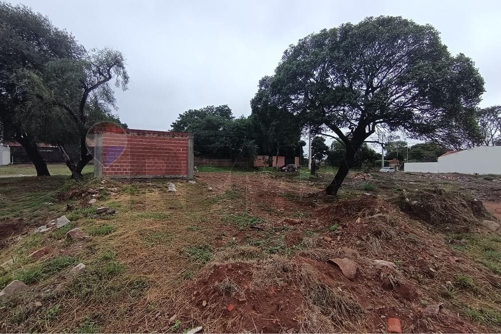 Terreno en lambare zona san roque — foto 2