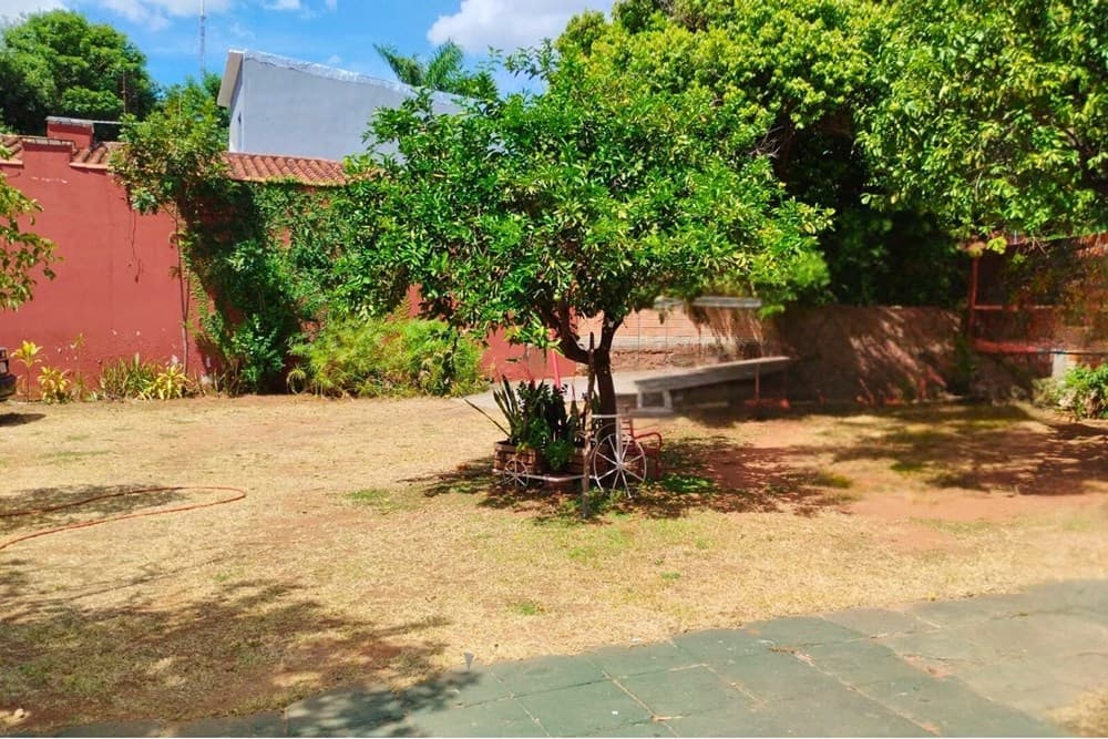 De tinglado/depósito y dos terrenos — foto 3