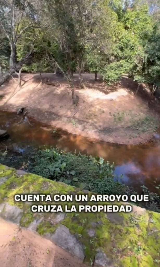 7 has en nueva colombia, foto 5