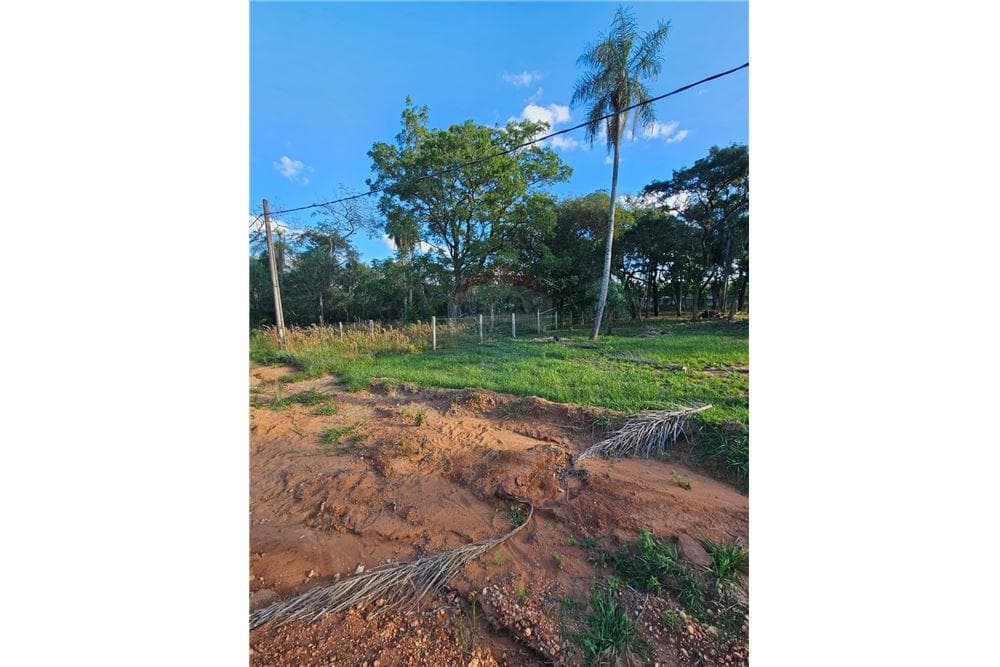 Terreno en Luque San Bernardino, foto 3