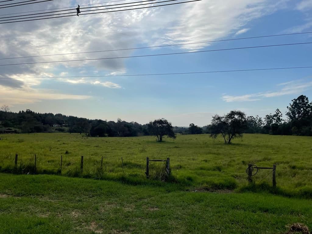 19,4 hectáreas en Minga Guazu a 200 metros sobre ruta 2, foto 5