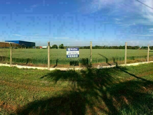 13 hectareas en santa rita, foto 2