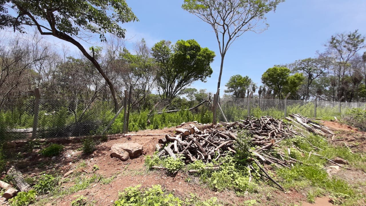 Terrenos en San Bernardino: Lotes de 1.300 m² – Zona Cristóbal Colón — foto 2